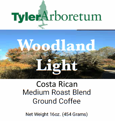 Woodland Light