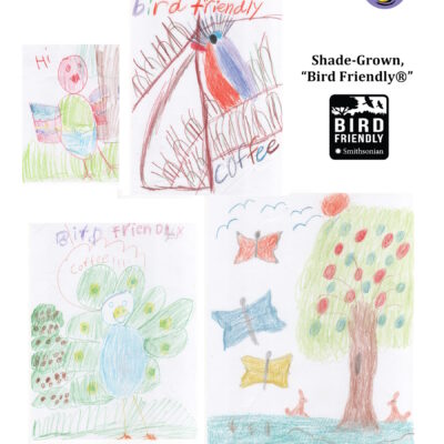 bird-friendly ethiopian